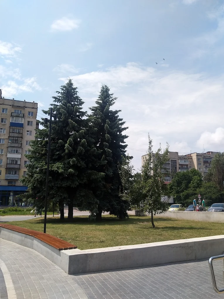 СВ-клуб — додаткове фото 4